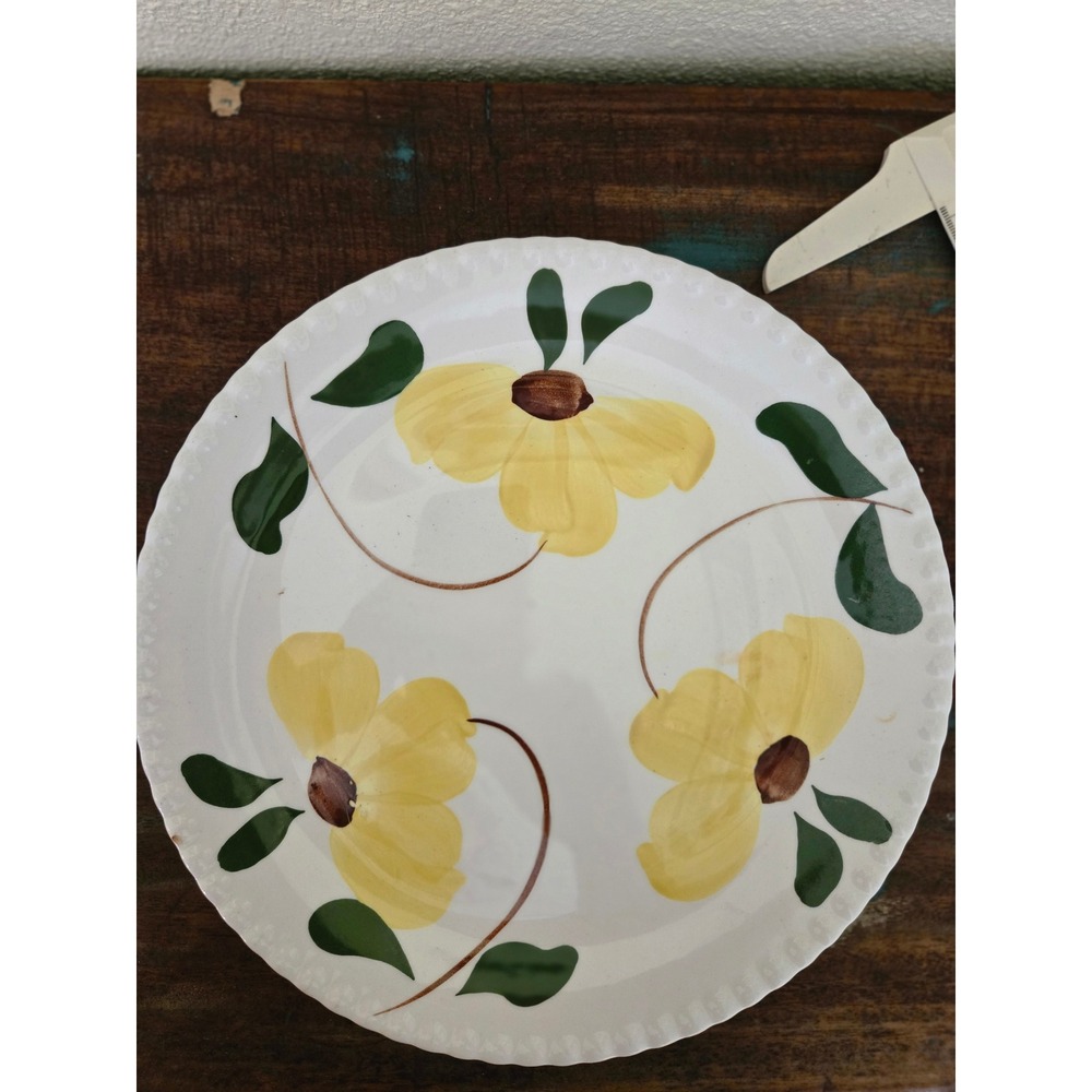 Blue Ridge Southern Potteries Sundance yellow Candlewick 9.25 Dinner Plate